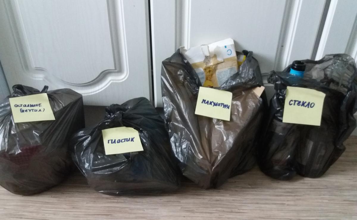 Раздельный мусор. Пономарева Л., 2017
