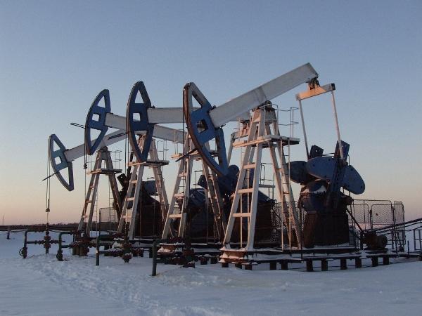 контракт сургутнефтегаз на 99 лет на добычу нефти контракт сургутнефтегаз на 99 лет на добычу нефти