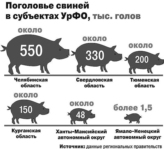 Выгодно ли держать. Свиноводство. Свиноводство в Свердловской области. Свиноводство проект. Свиноводство в Челябинской обл.