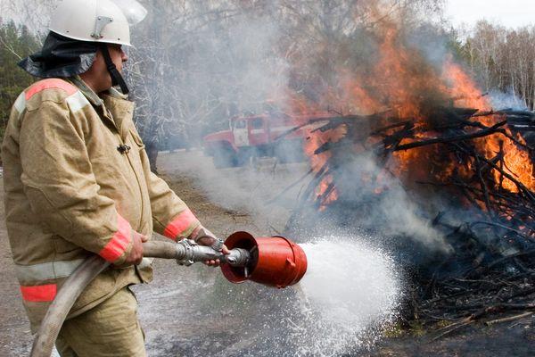 На охрану уральских лесов от пожаров дополнительно выделили 133 млн. рублей