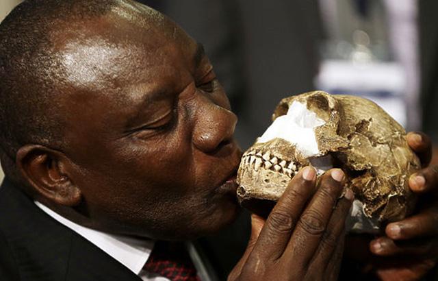 Посмотреть цифровые копии окаменелостей нового человека Homo naledi, найденного в ЮАР, можно на ресурсе Morphosource