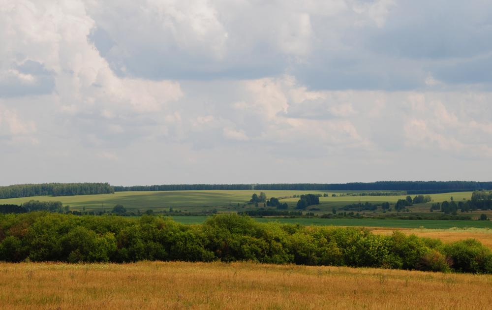 Зауралье регионы. Природа Зауралья Курганская область. Достопримечательности Зауралья Курганская область.