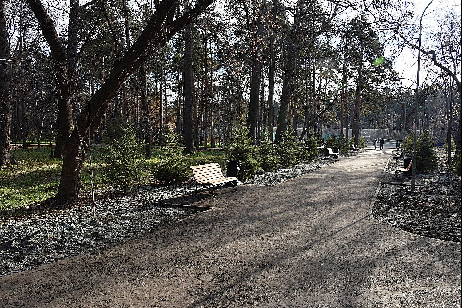 Зеленая роща где. Парк зеленая роща Екатеринбург. Парк зеленая роща Екатеринбург реконструкция. Парк зеленая роща Екатеринбург после реконструкции. Парк роща Обухово.