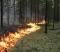 
            12 природных пожаров бушуют в уральском регионе