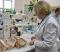 Уральские ученые предложили использовать скорлупу в стоматологии