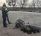 Юный мотоциклист погиб из-за натянутого троса в Белоярском районе