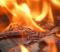 
            В Волчанске в огне погибли трое детей