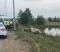 Два человека погибли в смертельном ДТП на трассе Пермь - Екатеринбург