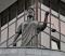 В Красноуфимске лесничий предстанет перед судом за коррупцию