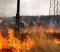
            Уральские спасатели на вертолете отправились в Серов тушить лесной пожар