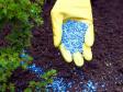 Лидия Пономарева: Есть ли альтернатива органическим удобрениям? (Мифы о выращивания экологически безопасных овощей с применением органических удобрений)