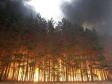 В Свердловской области особый противопожарный режим действует в 17-ти территориях