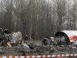 В МАК опровергли выводы Польши о катастрофе Ту-154