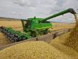 На Среднем Урале собрали 75% урожая зерновых культур
