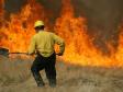 Россия готова помочь США в тушении лесных пожаров