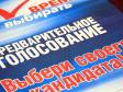 В Екатеринбурге на праймериз проголосовали свыше 40 тыс. человек