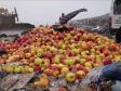 В Свердловской области уничтожили более 35 тонн санкционных продуктов