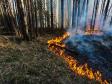 В Свердловской области продолжает действовать 10 лесных пожаров
