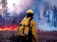 конкурс лучший лесной пожарный Югра 2016