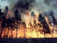 лесные пожары в Свердловской области 2016