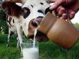 Субсидии Свердловской области на молочное хозяйство
