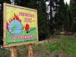 как остановить пожар в лесу