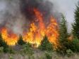 Лесные пожары в Челябинской области 2016
