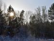 В Свердловской области нашли двух заблудившихся в лесу подростков