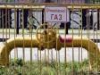 По программе догазификации газ пущен в более чем 50,3 тыс. уральских домовладений