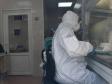За сутки с ковидом госпитализированы 33 уральца