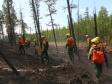 Рослесхоз оценил ущерб от лесных пожаров в 7 млрд. рублей