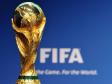 В Екатеринбург впервые привезут Кубок мира по футболу