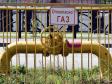 На догазификацию Свердловской области направлено еще 1,2 млрд