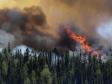 Продолжают гореть леса в Свердловской области