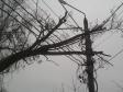 Ураганный ветер лишил электричества несколько тысяч свердловчан