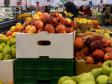 На Урале уничтожили 60 кг санкционных яблок