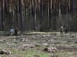 Лесные пожары на Среднем Урале могут начаться уже в апреле