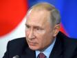 Путин внес в Думу законопроект о частичной декриминализации статьи за экстремизм