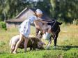 Российским фермерам разрешат оказывать туристические услуги‍