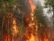 Лесные пожары ожидают Средний Урал в августе