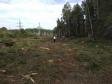 Двое уральцев незаконно вырубили леса на 1,4 млн. рублей