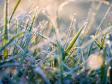 В уральской столице зафиксированы первые заморозки в сезоне