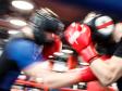 Сборная России по боксу провела первую тренировку в уральской столице (фото)