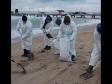 В нескольких районах Анапы зафиксированы новые выбросы мазута
