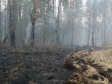 В «Оленьих ручьях» локализован лесной пожар, возникший из-за людей