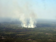 Площадь лесных пожаров в Свердловской области сократилась в десять раз