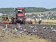 Свердловские аграрии заготовили 1,4 млн тонн кормовых культур