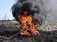 За сутки на Среднем Урале потушены 6 природных пожаров