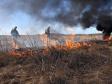 Площадь лесных пожаров на Среднем Урале увеличилась вдвое