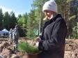 На Среднем Урале высадят миллион новых деревьев (фото)